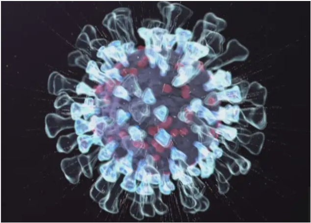 H3N2在加拿大迅速传播，可能引发心脏病和中风