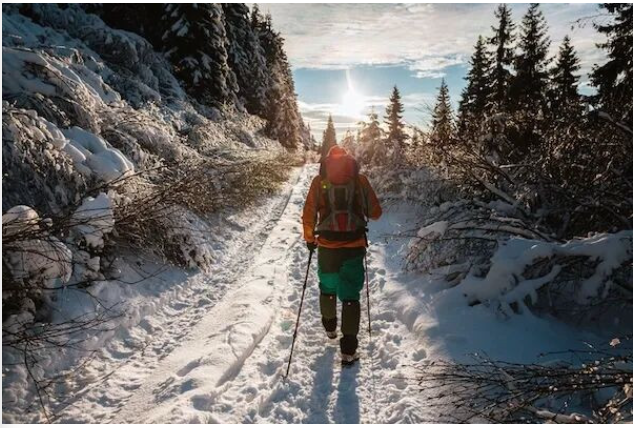 节假日出行期间，如何预防入室盗窃