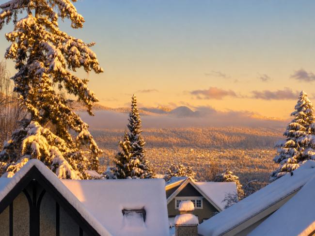 202605_17782256052541.png snow-001.png