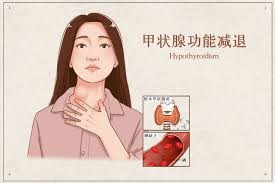 啥事没干却感觉巨累?可能是这个小器官在捣乱 啥事没干却感觉巨累?可能是这个小器官在捣乱