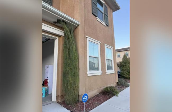 华裔女子购房产 假托管公司骗走首付超50万美元