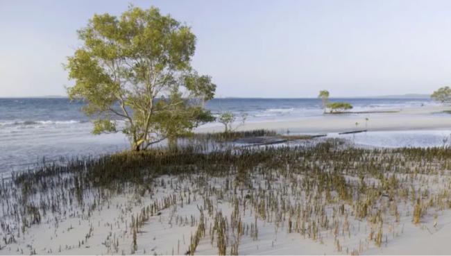 19岁加拿大少女陈尸澳洲离岛沙滩 警方介入