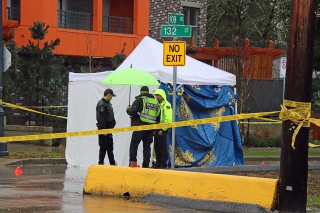 印度卡车害死加拿大人! 爆大规模抗议: 立即遣返