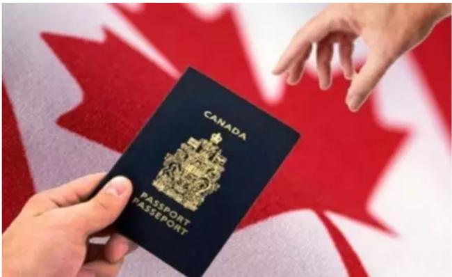 枫叶卡被撤! 强制遣返! 大批华人移民遭严处… 枫叶卡被撤! 强制遣返! 大批华人移民遭严处…