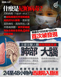 尼帕病毒有多危险?这些健康防护知识建议收藏 尼帕病毒有多危险?这些健康防护知识建议收藏