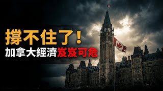 �������죡ר��ֱ�ԣ����ô󾭼��᧿�Σ