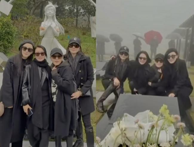 范玮琪在大S墓前“再度失言”遭怒轰