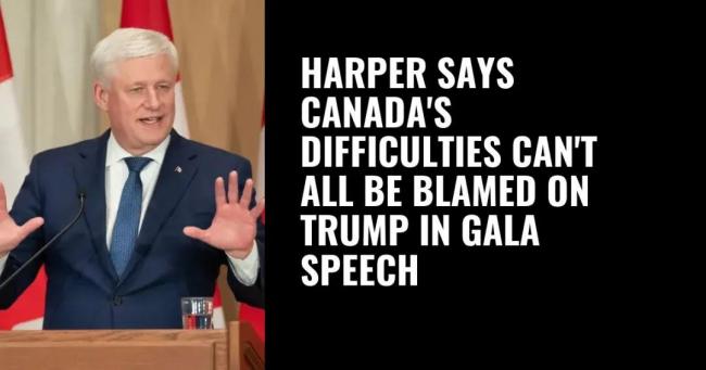 当卡尼抄袭博励治的政策,哈珀为何替卡尼“背书”? 当卡尼抄袭博励治的政策,哈珀为何替卡尼“背书”?