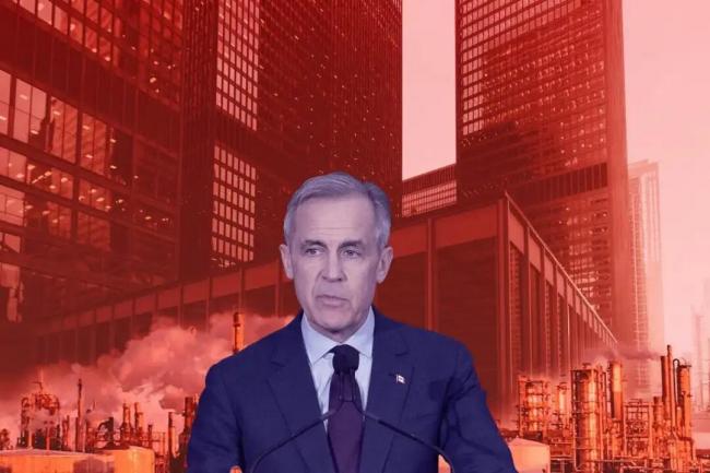 “不喜欢自由党，却支持卡尼”：还能维系多久？