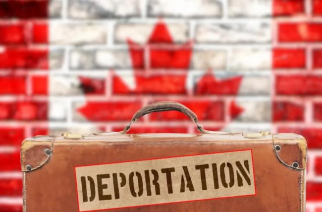 200万人失身份引爆抗议潮! 移民部大赦14.8万人