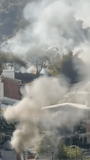 緊急! 加拿大剛剛發旅行警告:就地避難 航班全停