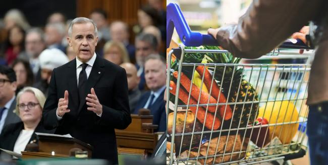 卡尼抛最高90补贴 被指收买选民 评论区吵翻 卡尼抛最高90补贴 被指收买选民 评论区吵翻