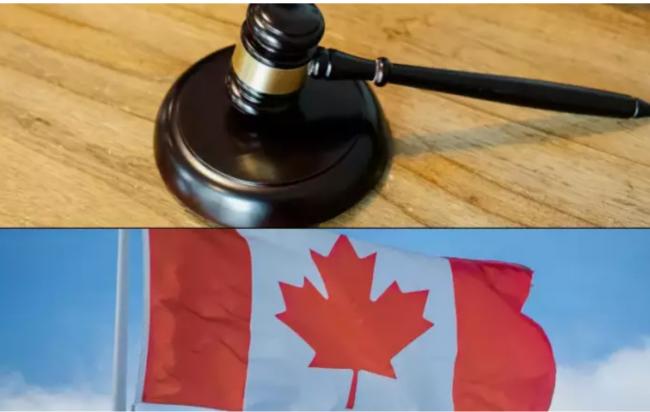 爆430名中国申请人虚假陈述 涉小红书代办强制令 爆430名中国申请人虚假陈述 涉小红书代办强制令