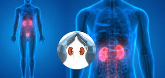 守护肾脏健康 记住3项检查和4个习惯