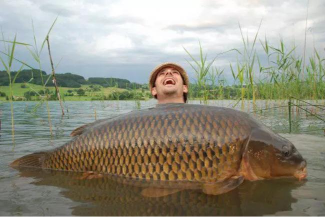 亚洲鲤鱼惊动川普 喊话卡尼“州长”一起杀鱼