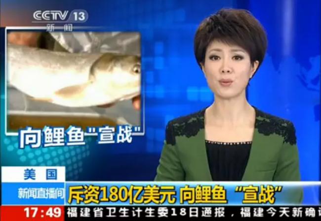 亚洲鲤鱼惊动川普 喊话卡尼“州长”一起杀鱼