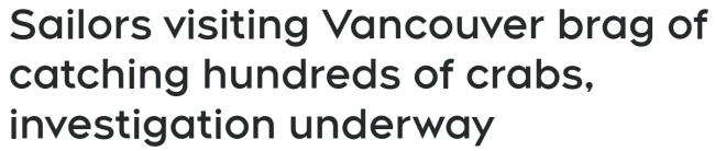 华人温哥华狂捞400多斤螃蟹,配青岛啤酒直喊爽