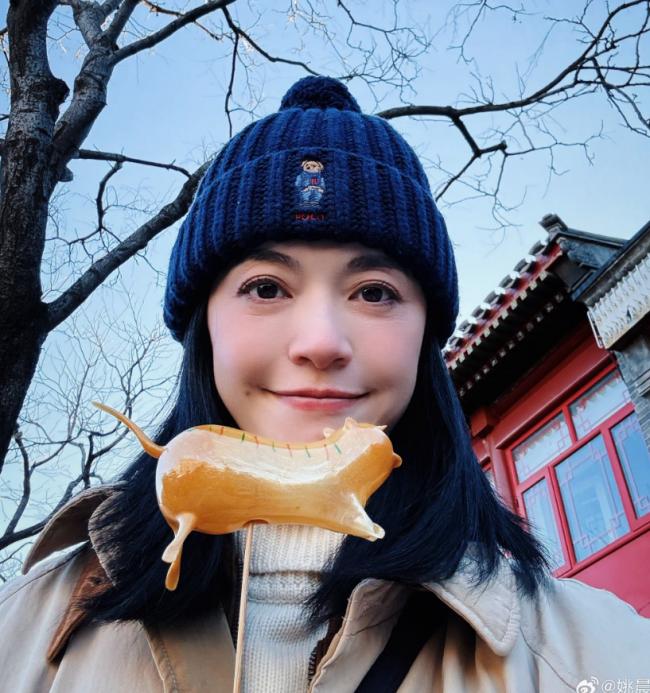 姚晨“官宣”离婚出问题 遭官媒点名批评