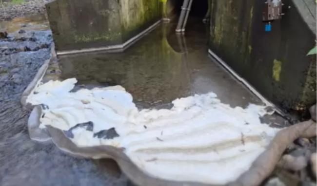 恐怖：神秘白色物质流入大温哥华溪中