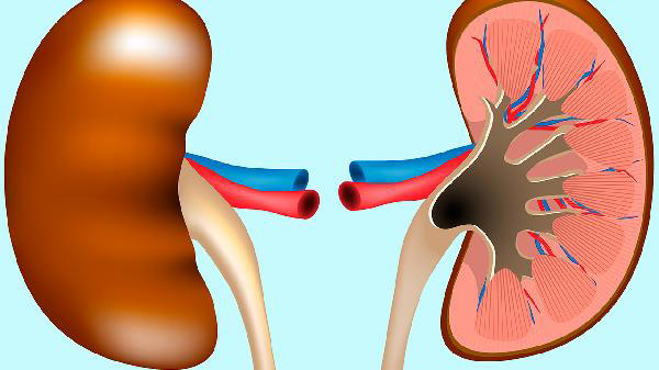 一盘下肚 男子急性肾衰竭！很多人爱吃