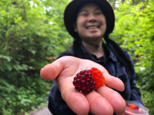 省钱!温哥华夫妇每周只花40吃饭 网友:不如囚犯 省钱!温哥华夫妇每周只花40吃饭 网友:不如囚犯