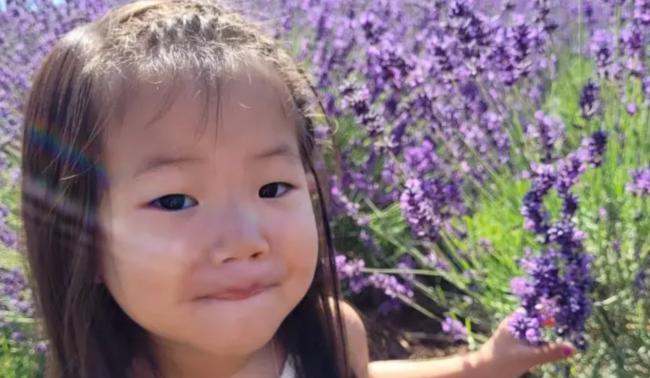 大温台湾村6岁女童被撞死 1年后疑犯还没被起诉 大温台湾村6岁女童被撞死 1年后疑犯还没被起诉