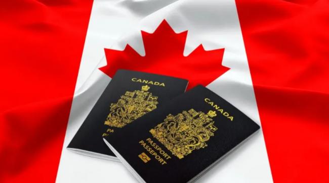 扎心! 数百万美国人抢加拿大护照 只是当"备胎"