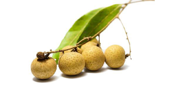 桂圆这样吃从此和失眠说再见 每晚都够倒头就睡