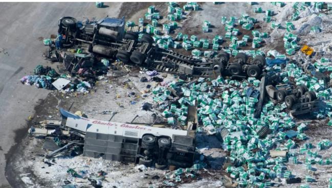 撞死16人! 加拿大印度裔司机最后一刻逃过遣返