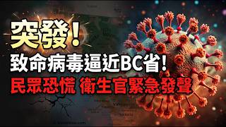 加拿大三分之一财政将用于偿债和老人福利 低利率或终结