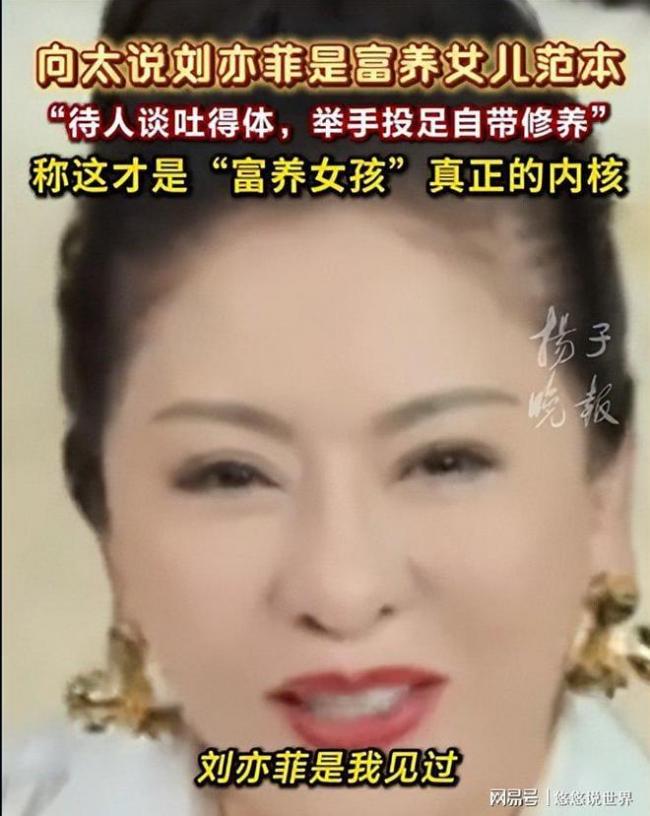 向太曝刘亦菲陈金飞真实关系:成也干爹败也干爹 向太曝刘亦菲陈金飞真实关系:成也干爹败也干爹