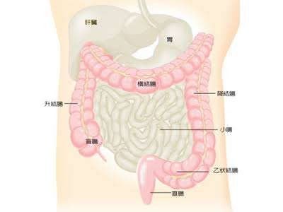 反复腹泻、便血可能不是肠炎 警惕溃疡性结肠炎