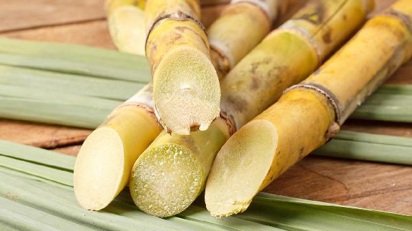 甘蔗到底是升火的还是降火的？适用哪些人群？