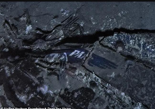 消失74年终现身! 失踪客机被找到 迫降3分钟沉海