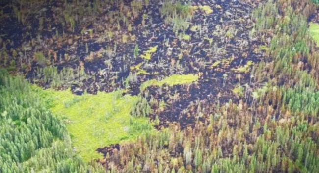 安省仍有159宗山火燃烧,逾2,000人未能返家 安省仍有159宗山火燃烧,逾2,000人未能返家