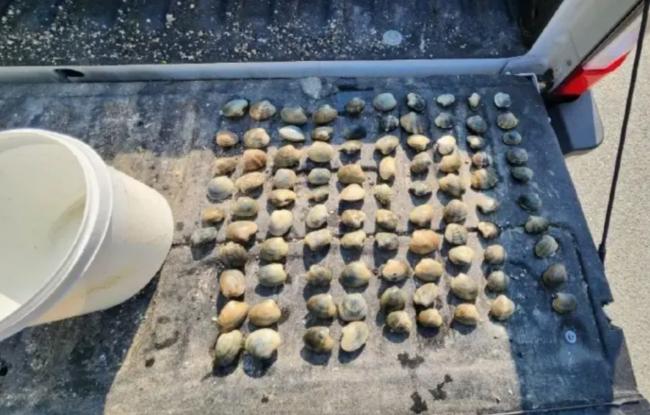 4名华裔蚝客温哥华岛非法采捕，共罚1.8万