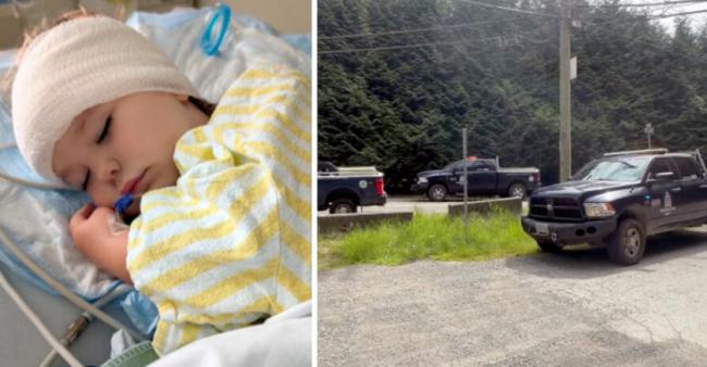 惊魂! 大温3岁女童后院遭黑熊袭击! 全城搜捕