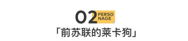 中国90后新首富: 英语28分, 身价1300亿.... 中国90后新首富: 英语28分, 身价1300亿....