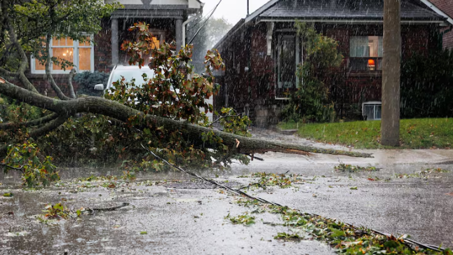 大多地区百年一遇暴风雨 相当于一个月降雨量 大多地区百年一遇暴风雨 相当于一个月降雨量