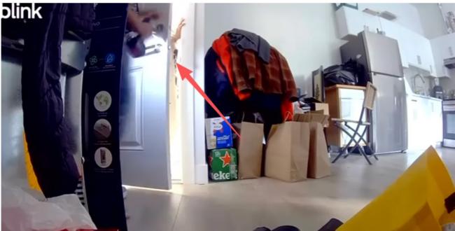 扔石头砸租客、强拆房门! 加拿大印裔女房东被捕 扔石头砸租客、强拆房门! 加拿大印裔女房东被捕