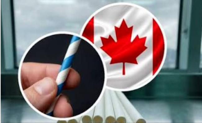 怒了! 加拿大联邦监狱要发“安全吸毒”用品! 怒了! 加拿大联邦监狱要发“安全吸毒”用品!