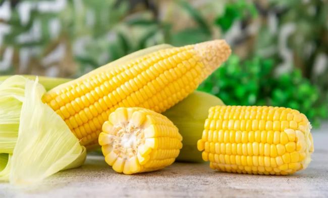 减脂控糖 甜玉米还是糯玉米? 减脂控糖 甜玉米还是糯玉米?