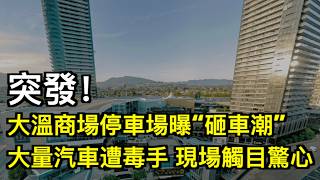 ͻ���������̳�ͣ�����ء��ҳ����� ���������ⶾ�� �ֳ���Ŀ����